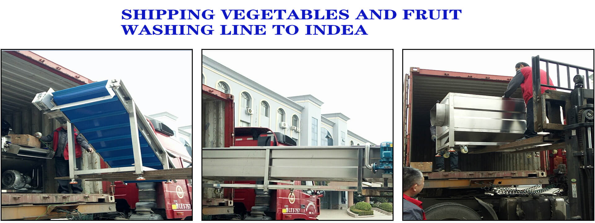 shipping vegetables and fruit washing production line to India