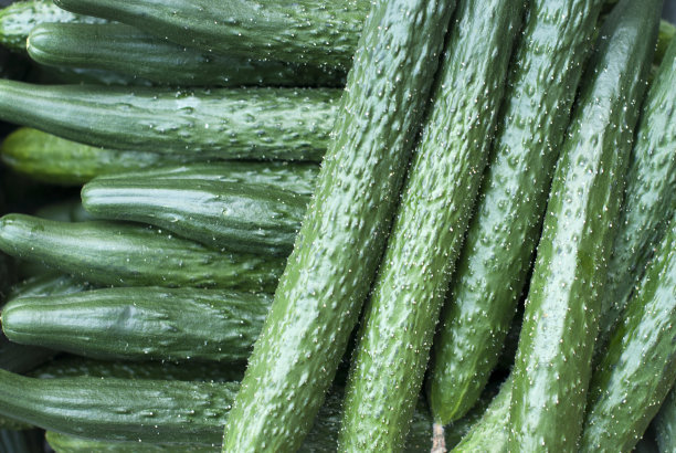 cucumber slicer