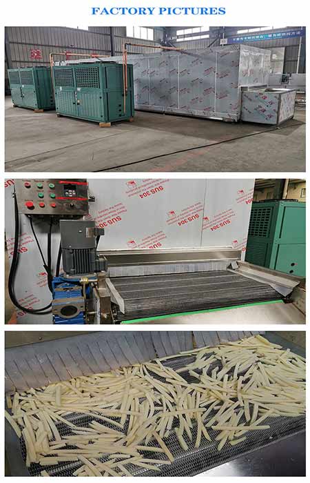 seafood freezing machine 