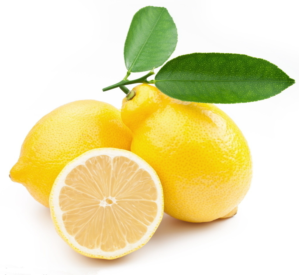 lemon chips dryer
