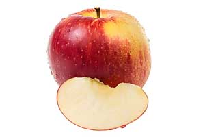 Henan Joyshine Machienry Co., Ltd.