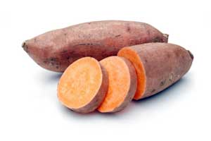 Henan Joyshine Machienry Co., Ltd.