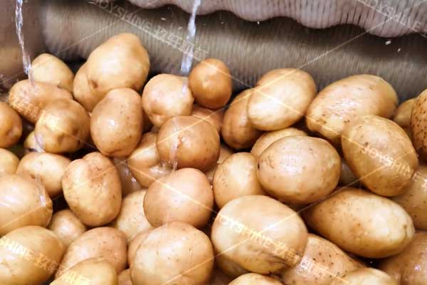 Henan Joyshine Machienry Co., Ltd.