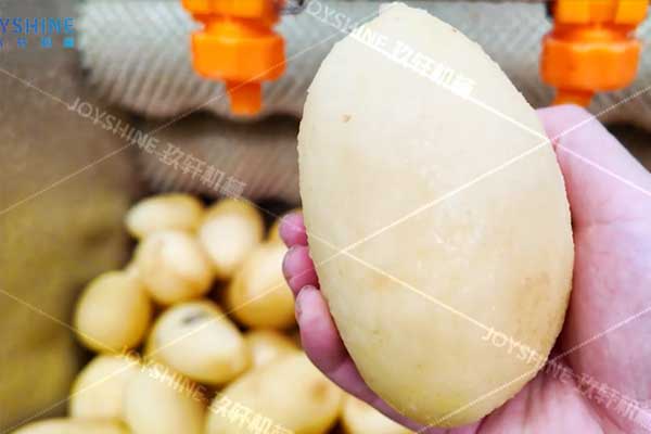 Henan Joyshine Machienry Co., Ltd.