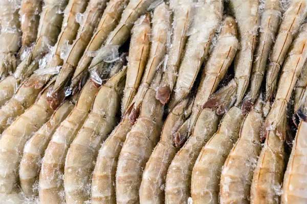 Henan Joyshine Machienry Co., Ltd.