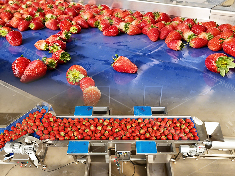 Henan Joyshine Machienry Co., Ltd.