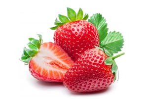 Henan Joyshine Machienry Co., Ltd.