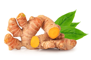 Henan Joyshine Machienry Co., Ltd.