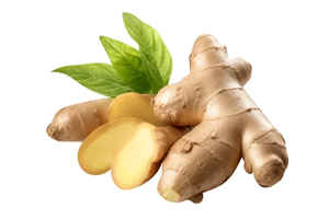 Henan Joyshine Machienry Co., Ltd.