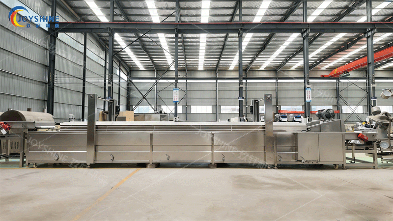 Industrial continuous fryer for french fries