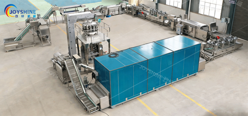 500kg/h french fries production line layout