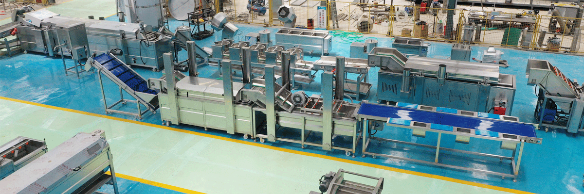 Joyshine Automatic Fresh-cut Vegetable Processing Line