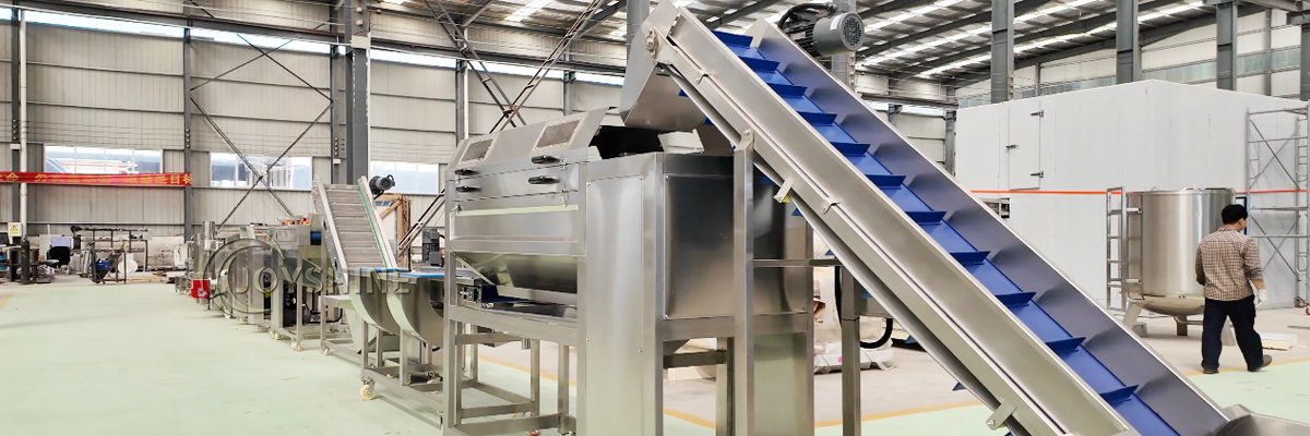 Fresh-Cut French Fries Production Line