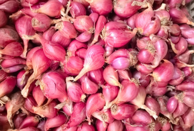 Industrial Garlic and Onion Peeling Application