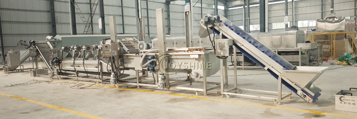 Joyshine fruit and vegetable processing line in factory