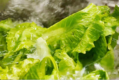 Industrial fruit and vegetable application