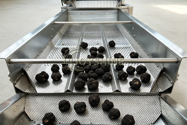 Henan Joyshine Machienry Co., Ltd.