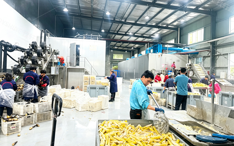 Henan Joyshine Machienry Co., Ltd.