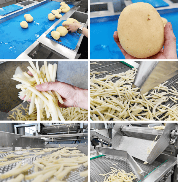 Henan Joyshine Machienry Co., Ltd.