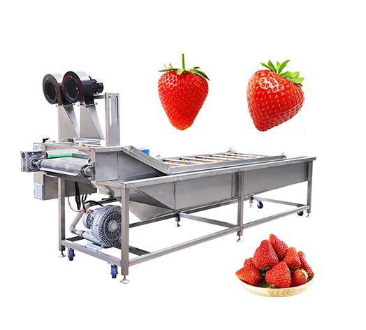 Industrial Bubble Type Fruit Vegetable Washing Machine for Sale